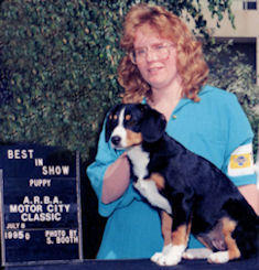 Entlebucher puppy Hanna and Paula at ARBA show